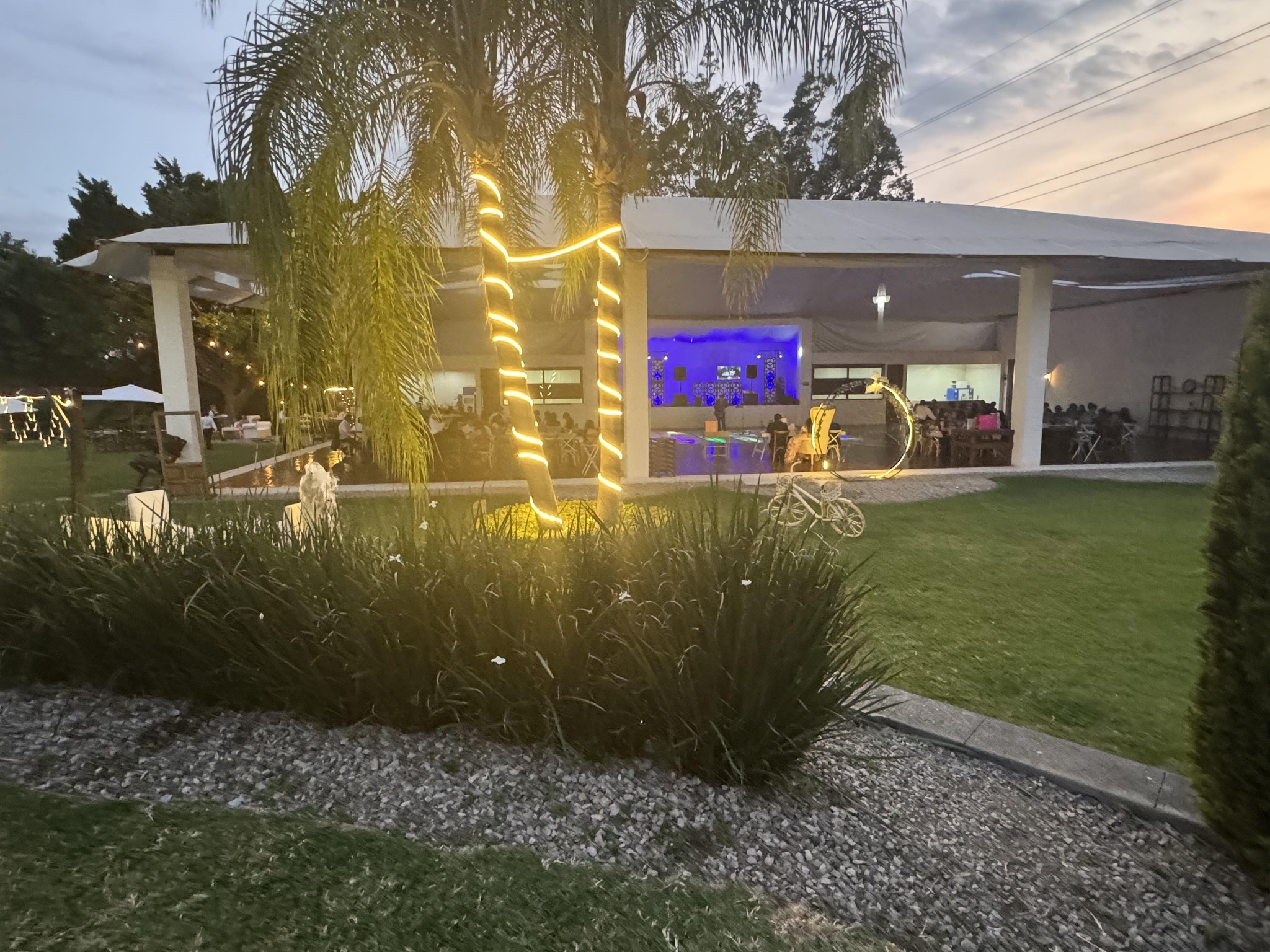 Jardín iluminado